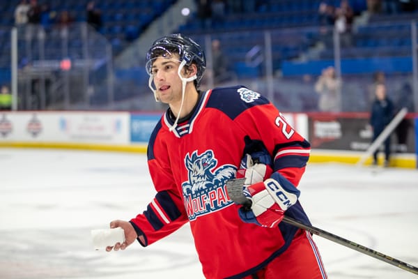 Noah Laba Taking First Steps in Pro Hockey with Wolf Pack